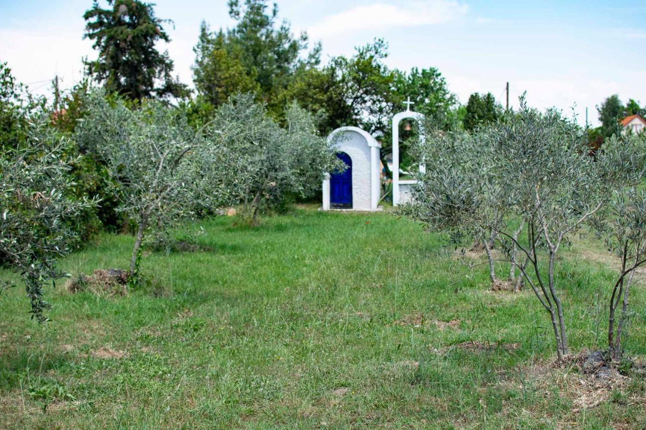 Clio Beach House By Travel Pro Services - Metochi Halkidiki Sozopoli Dış mekan fotoğraf