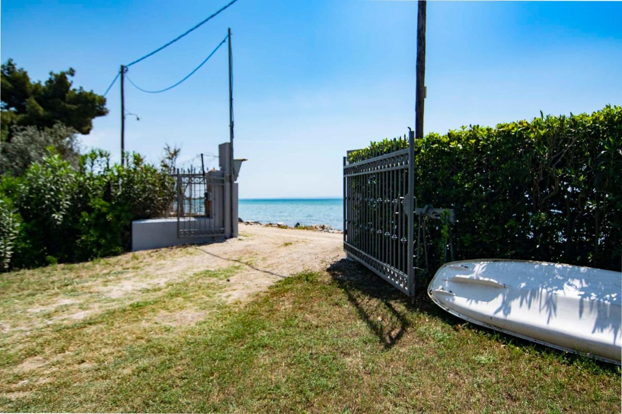 Clio Beach House By Travel Pro Services - Metochi Halkidiki Sozopoli Dış mekan fotoğraf