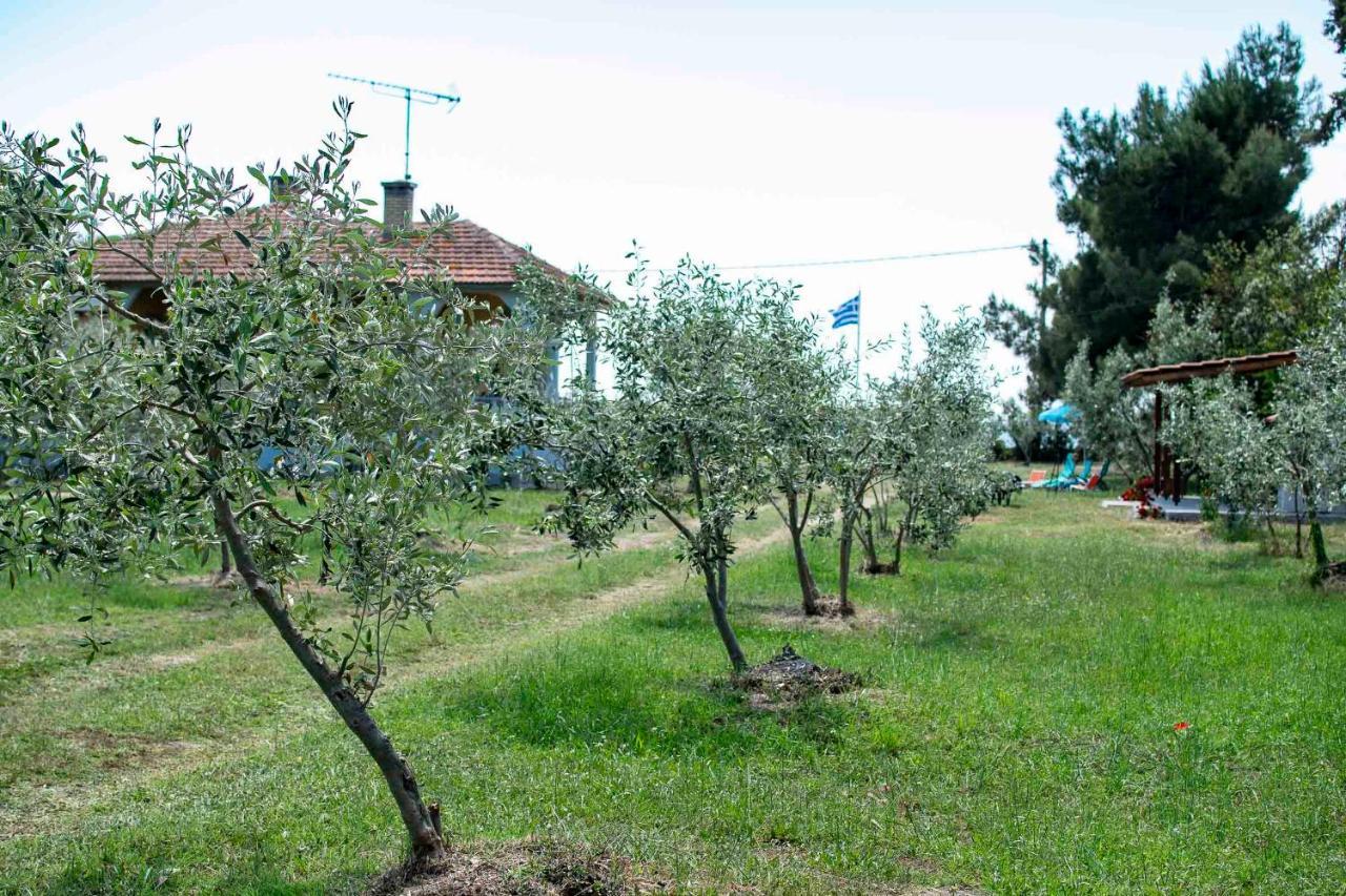 Clio Beach House By Travel Pro Services - Metochi Halkidiki Sozopoli Dış mekan fotoğraf