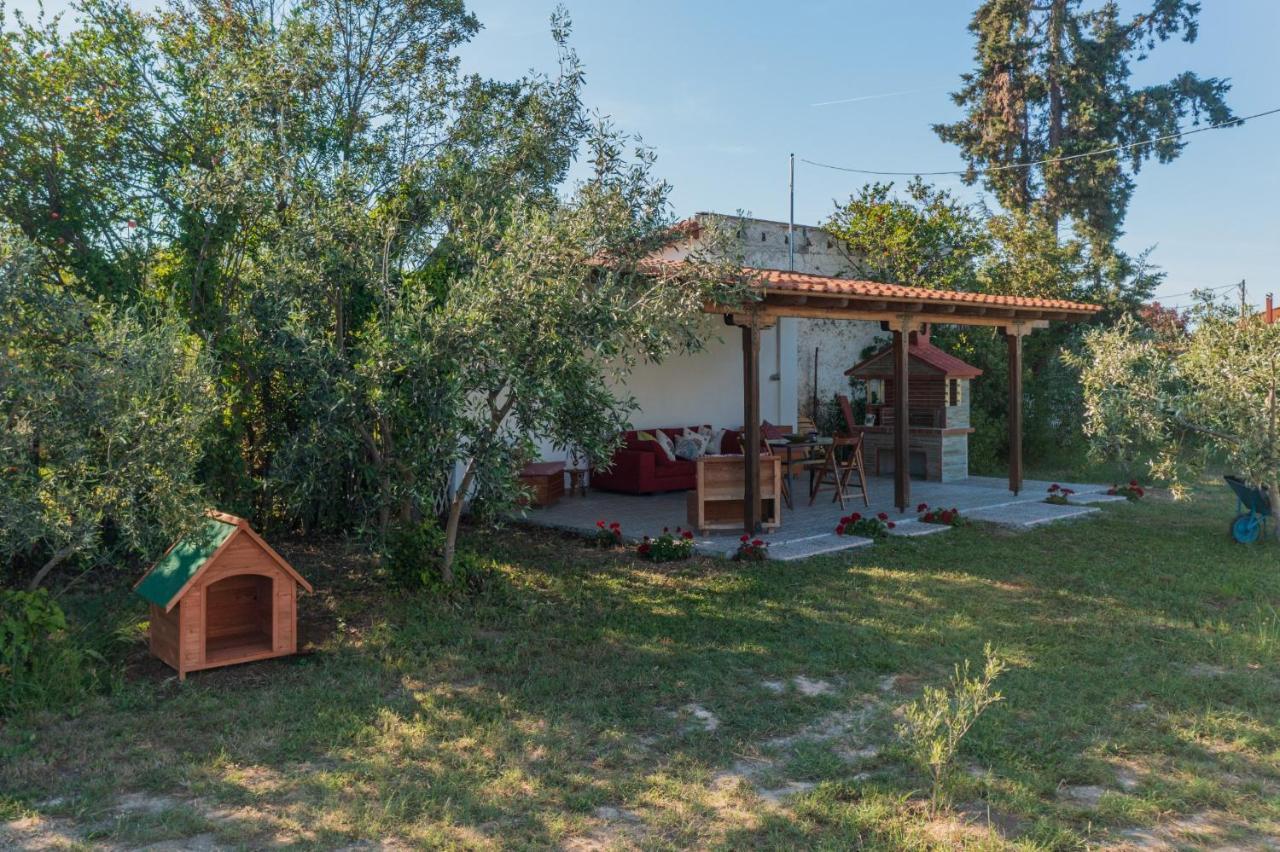 Clio Beach House By Travel Pro Services - Metochi Halkidiki Sozopoli Dış mekan fotoğraf