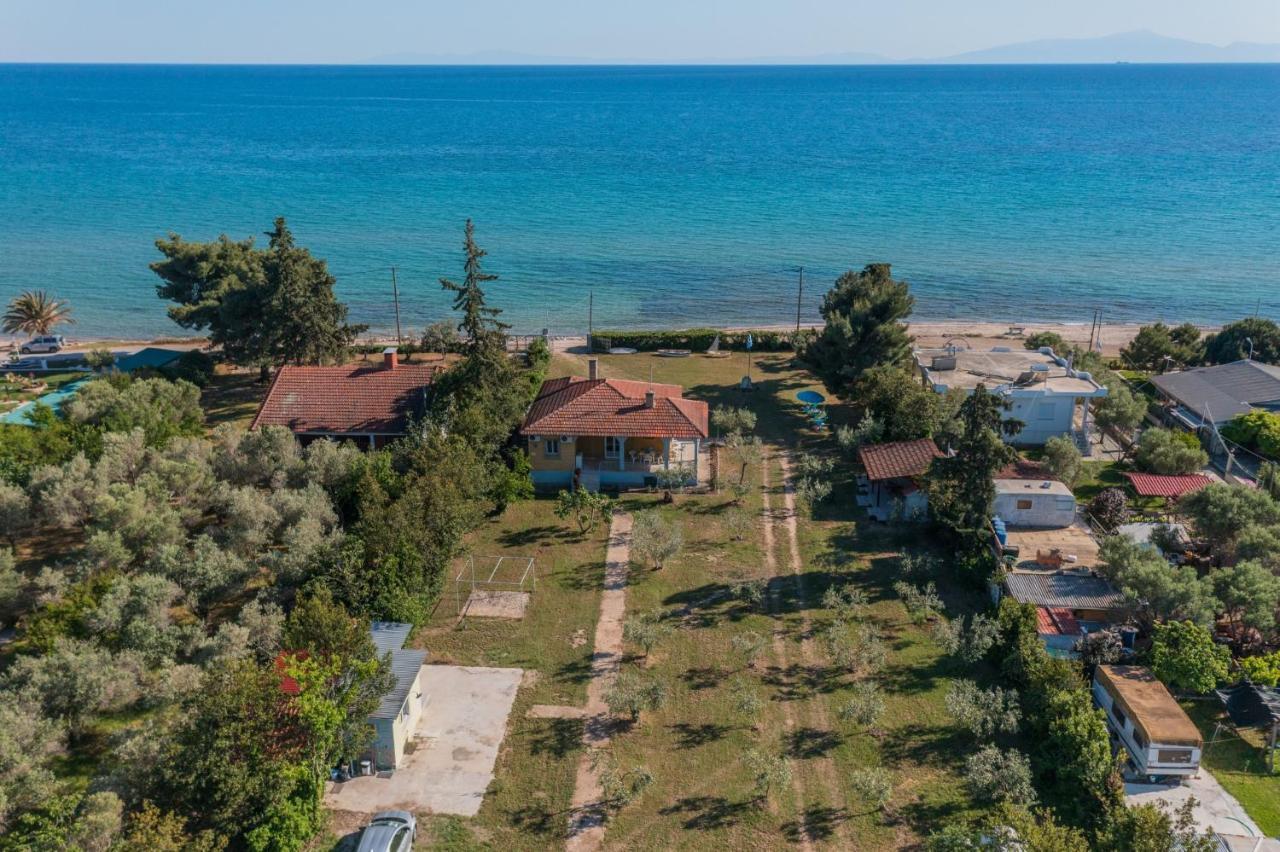 Clio Beach House By Travel Pro Services - Metochi Halkidiki Sozopoli Dış mekan fotoğraf